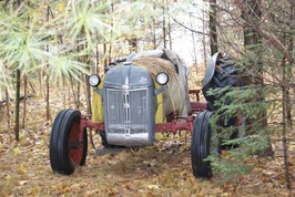 Our old tractor, hidden among the trees